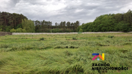 Budynek Socjalono-biurowy z magazynami na działce 2,32ha w miejscowości Racula na sprzedaż!!!